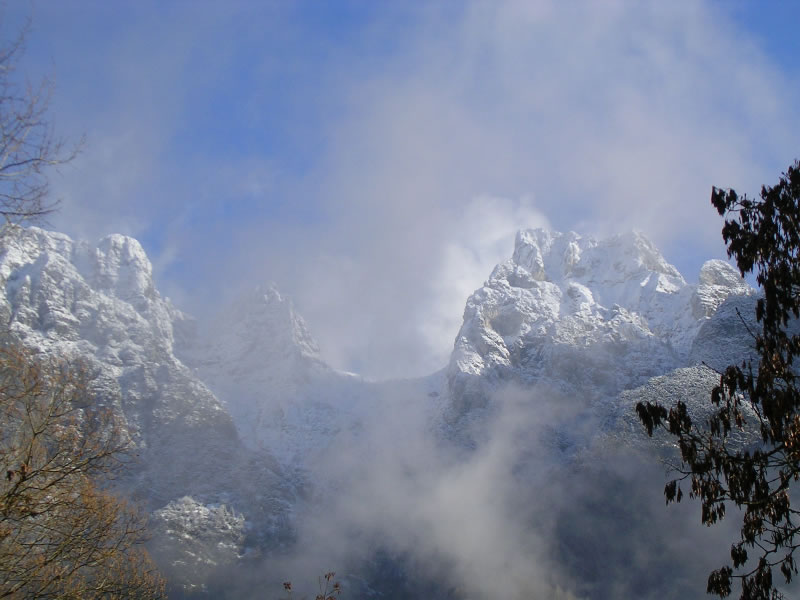 Forzelon de le Mughe